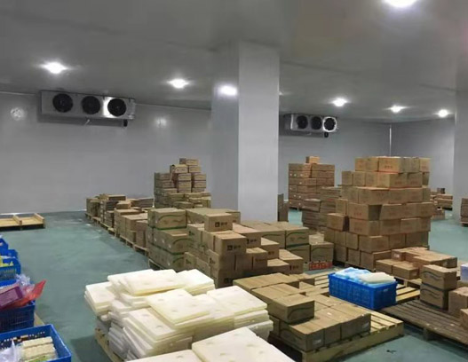 湖北冷庫設(shè)計(jì)公司-案例展示